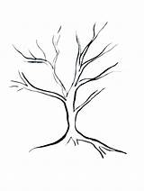 Tree Simple Easy Family Draw Leaves Template Drawing Trees Basic Branches Drawings Bare Sketch Coloring Project Outline Chatelaine Roots Printable sketch template