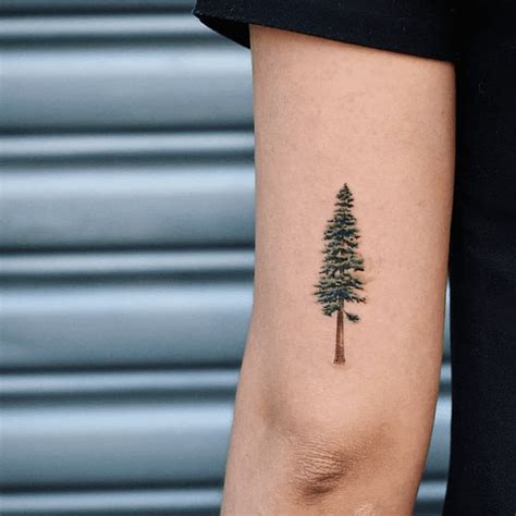 24 Tree Tattoo Ideas To Inspire Your Next Ink Design