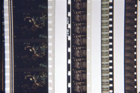 Smithsonian Collections Blog The Summer Of Super 8