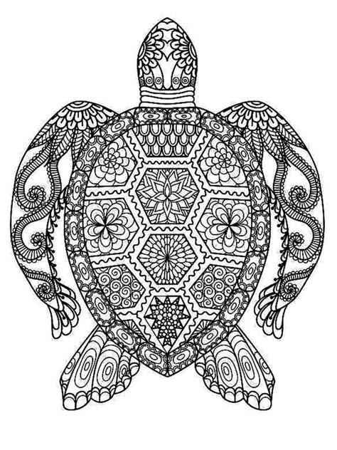 turtle mandala turtle coloring pages  adult coloring pages