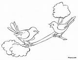 Sparrows Coloring Pages Kids Pitara Sparrow Birds Template Two Sketch sketch template