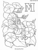 Coloring Fairy Flower Alphabet Pages Fairies Morning Glory Colouring Book Letters Letter Adults Magic Adult Gif Print Coloriage Printable Elfes sketch template
