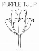 Coloring Purple Tulip Drawing Flower Saxifrage Built California Usa Template Twistynoodle sketch template