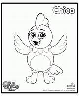 Sprout Chica Chicka Colouring Pbs Pajanimals Coloringhome sketch template