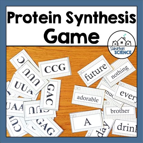 dna rna protein synthesis activity suburban science