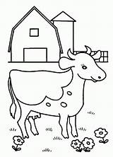 Coloring Dairy Cow Pages Drawing Popular Farm Getdrawings Library Baby Coloringhome sketch template