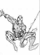 Spiderman Colorier Superheroes Imprimé Vectorified sketch template