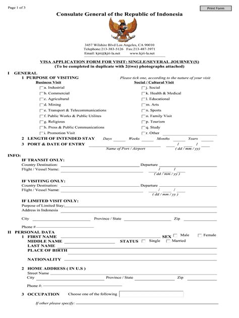 Indonesia Tourist Visa Form Fill Out And Sign Printable Pdf Template