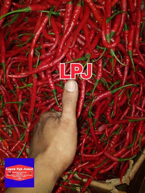 Cabai Merah Keriting 1 Kg Lpj Lazada Indonesia