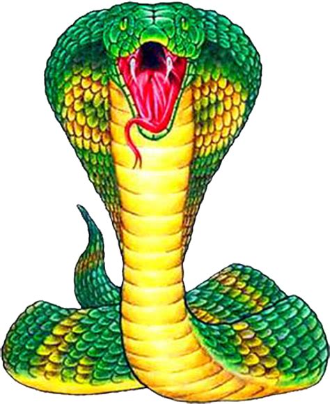 desenhos animados clipart de cobra verde png cobra clipart cobra porn