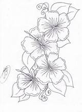 Tattoo Flower Outline Flowers Hibiscus Designs Amazing Awesome Tattoos Template Drawing Drawings Coloring Pages Sleeve Templates Simple Tatto Printable Draw sketch template
