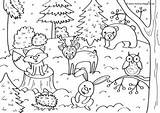 Colouring Winter Woodland Pages Children Cute Wildlife Adorable sketch template
