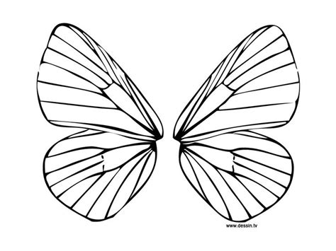 coloring fairy wings butterfly wing printable wings drawing fairy
