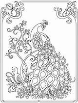 Swirls Adults Mandala Peacock Malowanie Jedwabiu sketch template