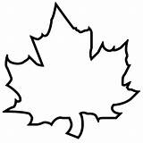 Maple Leaf Coloring Pages Leaves Color Fall Printable Advertisement Use Outline Sheet Easy sketch template