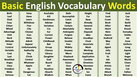 basic english vocabulary words vocabulary point
