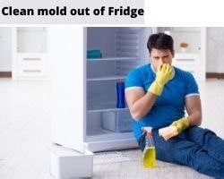 clean mold   fridge  solutions