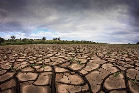 britain set  summer drought crisis   lead   hosepipe ban daily star