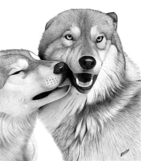 realistic animal drawings xcitefunnet