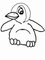 Coloring Penguin Pages Printable Cartoon Popular sketch template