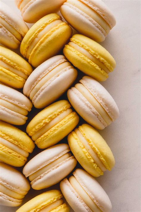 macarons campestrealgovbr