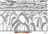 Coloring Wheat Color Pages Field Number Printable sketch template