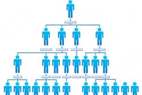 startup organizational structure    horizontal