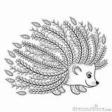 Hedgehog Coloring Adult Patterned Vector Doodle Drawn Hand Animal Artistic Ornamental Zentangle Ethnic Style sketch template