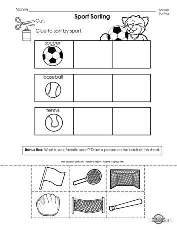sport sorting lesson plans  mailbox worksheets  kids