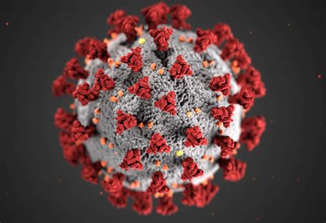 covid  causing coronavirus illustrated  centers  disease control
