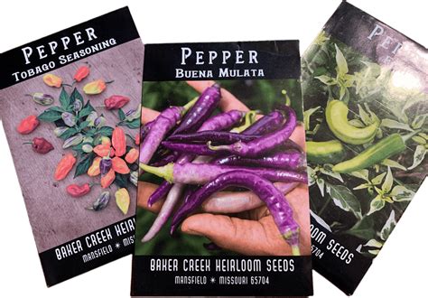 pepper seeds  sites  buy pepper seeds  grow hot peppers