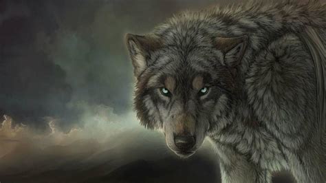 wolf desktop wallpapers  wallpaperdog