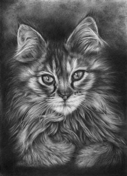 calico  peter williams fantasy warrior cat coloring page coloring