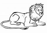 Lion Coloring Ausmalbilder Löwe Ausmalbild Tiere Ausmalen Zum Kostenlos Löwen Von Kinder Malvorlagen Kostenlose Ausdrucken Large sketch template
