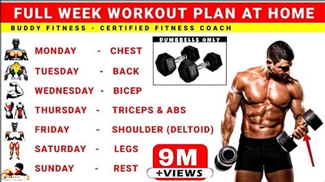 workout routine  bench  dumbbells