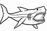 Sharks Clipartmag Drawn Drawnbyhislight Beginners sketch template