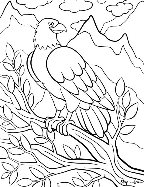 bald eagle coloring pages skip   lou