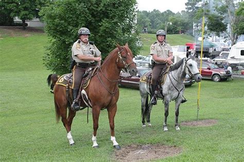 etowah county sheriffs mounted unit alabama western saddles  endurance bridles police