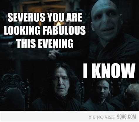 [image 229017] Severus Snape Know Your Meme