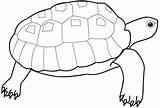 Turtle Bestappsforkids Stumble sketch template
