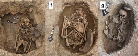 researchers have found signs of ritual violence on skeletons from an