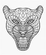 Testa Giaguaro Groviglio Zentangle Colouring Jaguars Coloringareas Illustrationen sketch template