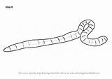 Worm Drawings Earthworm Draw Drawing Clipart Worms Step Cartoon Necessary Improvements Finally Finish Make Clipground Tutorials sketch template