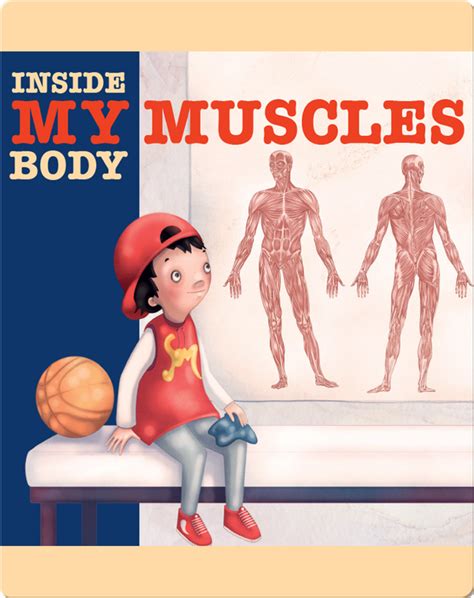 muscles childrens book  jody jensen shaffer  illustrations