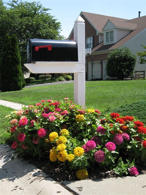 Mailbox Gardening: Zinnia Beds For Scorching Summer Color