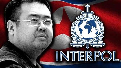 Red Notices Interpol And Diffusions Faqs Part 1 Amicus