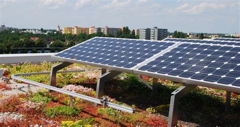 aanrader combinatie zonnepanelen en groen dak bouw en installatie hub