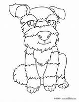 Terrier Hellokids Coloring Pages Dog Print Color sketch template