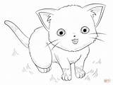 Anime Coloring Cat Pages Drawing Cute Animals Draw Chibi Outline Printable Easy Step Supercoloring Manga Tutorials Kids Color Getdrawings Template sketch template