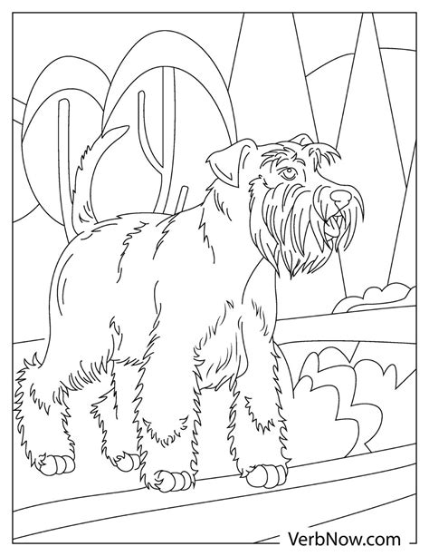 terrier dog coloring pages book   printable